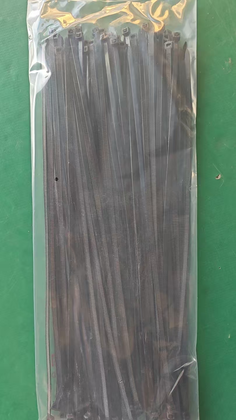 Packaged PA6 nylon cable ties
